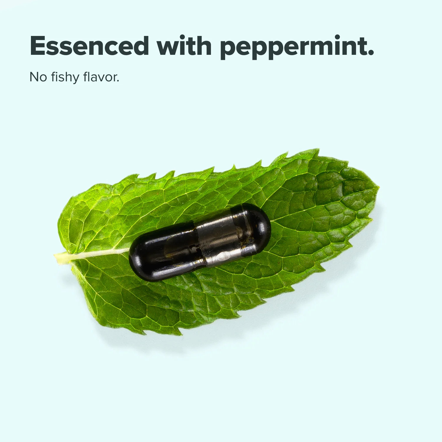 COMPLEMENT® Essential (Buy With Prime) - Image 7